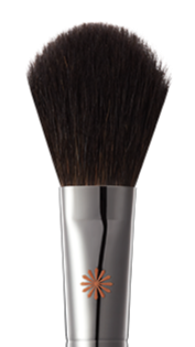17 blusher