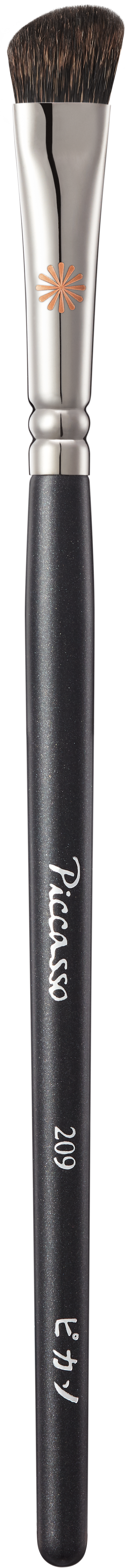 PICCASSO 209 Eyeshadow