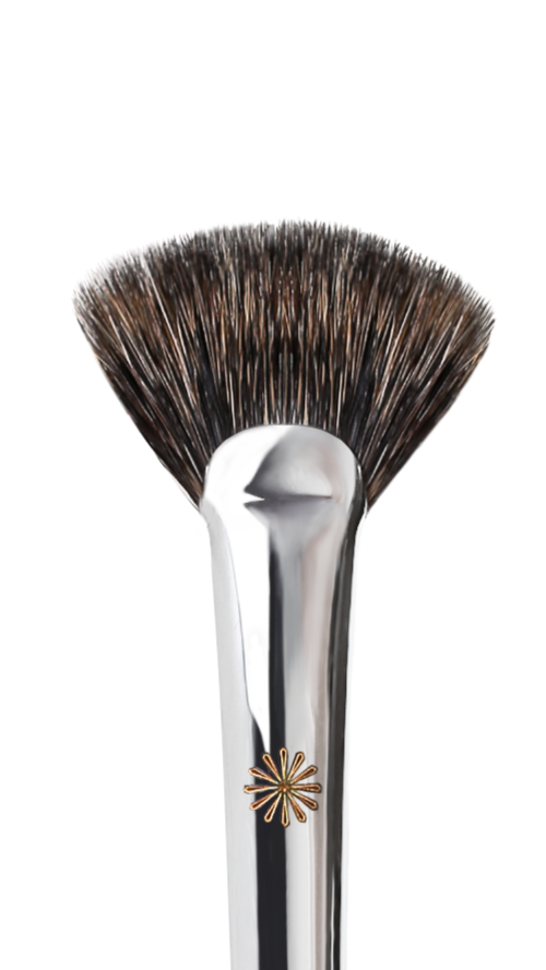 259 fan highlighter