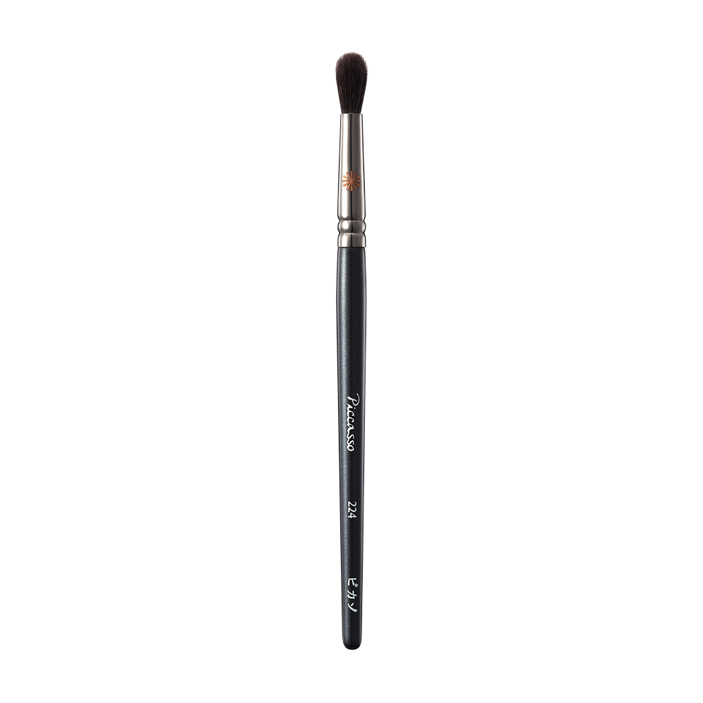 PICCASSO 224 Eyeshadow (+ Nose Shading)