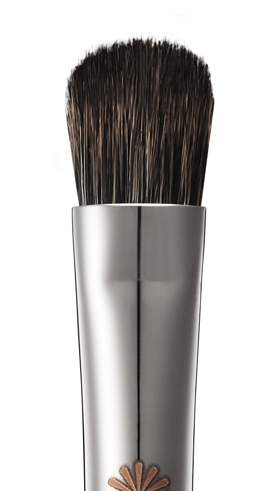 207 eyeshadow