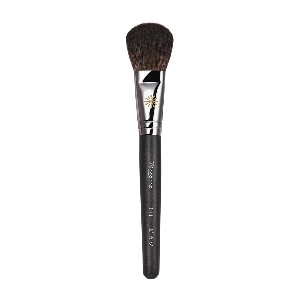 PICCASSO 103 Shading