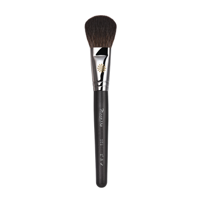 PICCASSO 103 Shading