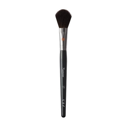 PICCASSO 17 Blusher