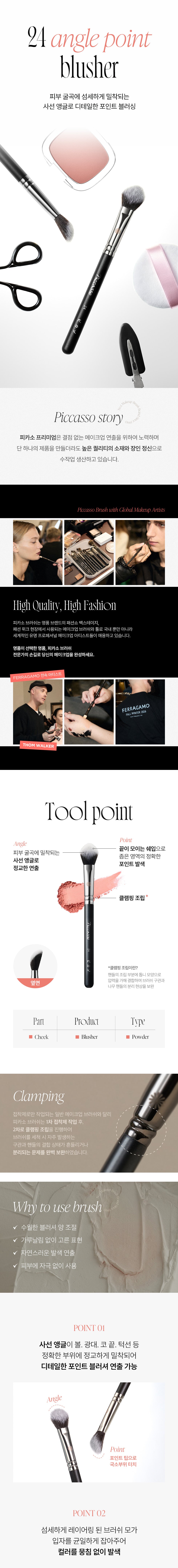 PICCASSO 24 Angle Point Blusher Product Details