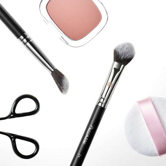 PICCASSO 24 Angle Point Blusher