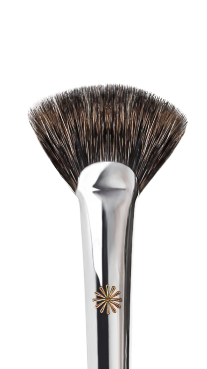 259 fan highlighter