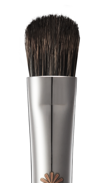 207 eyeshadow